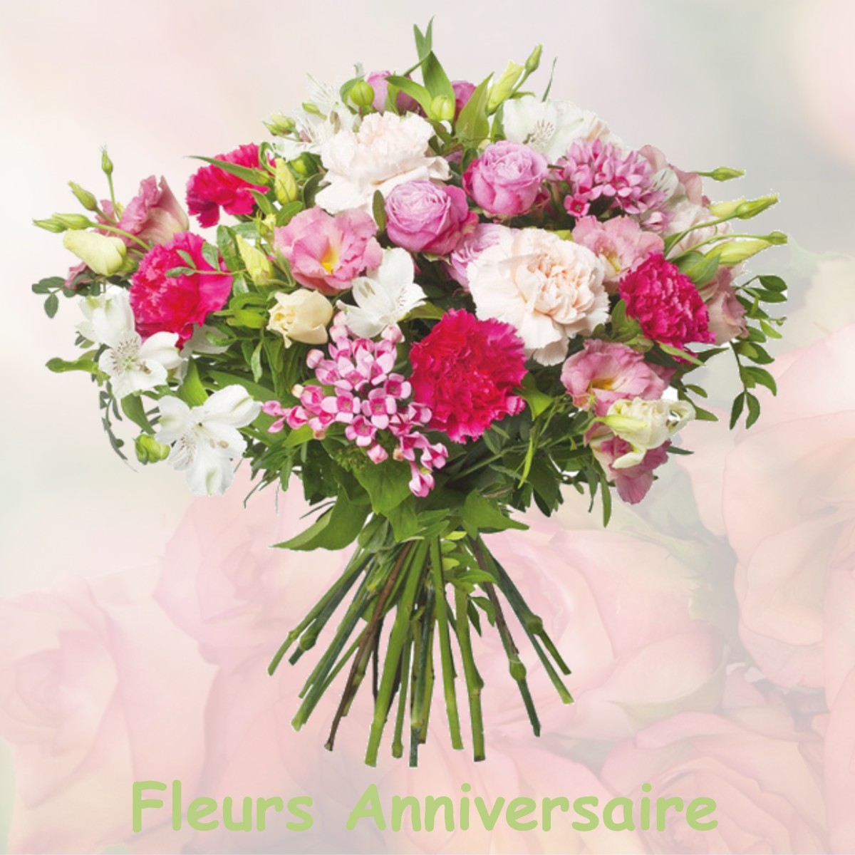 fleurs anniversaire SAINTE-SOLINE